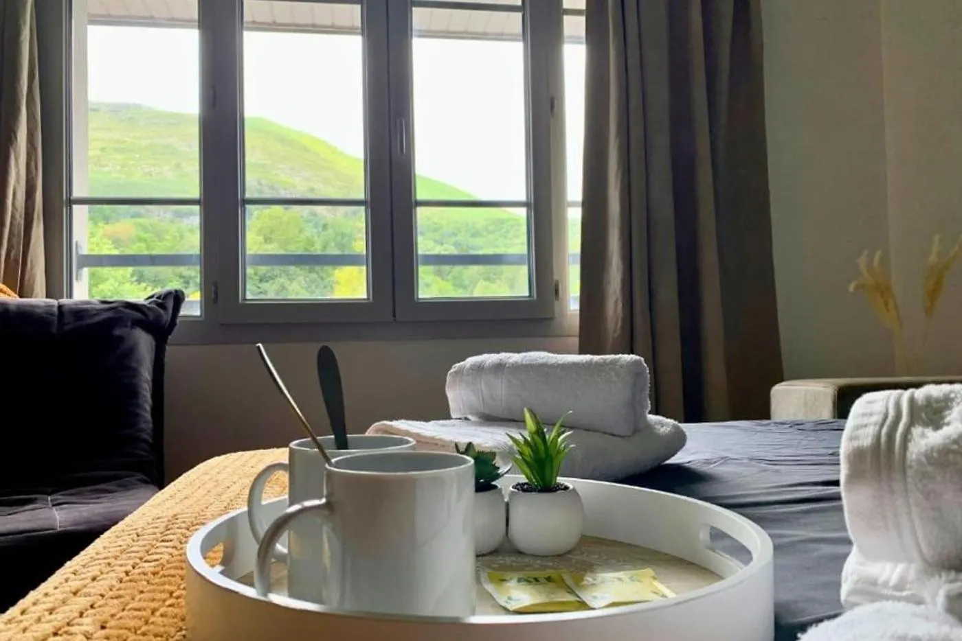 Paradis 401 T2 Apaisant Au Coeur De Lourdes